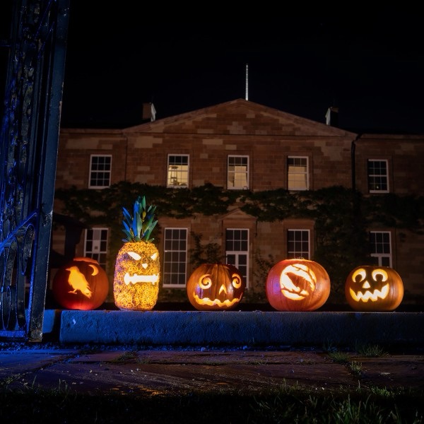 Ierland is dé plek waar Halloween écht tot leven komt