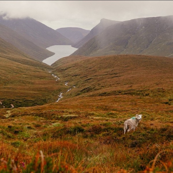 Ierland is dé plek waar Halloween écht tot leven komt