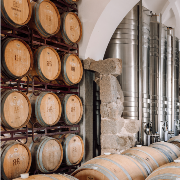 Alentejo, wijn, Portugal