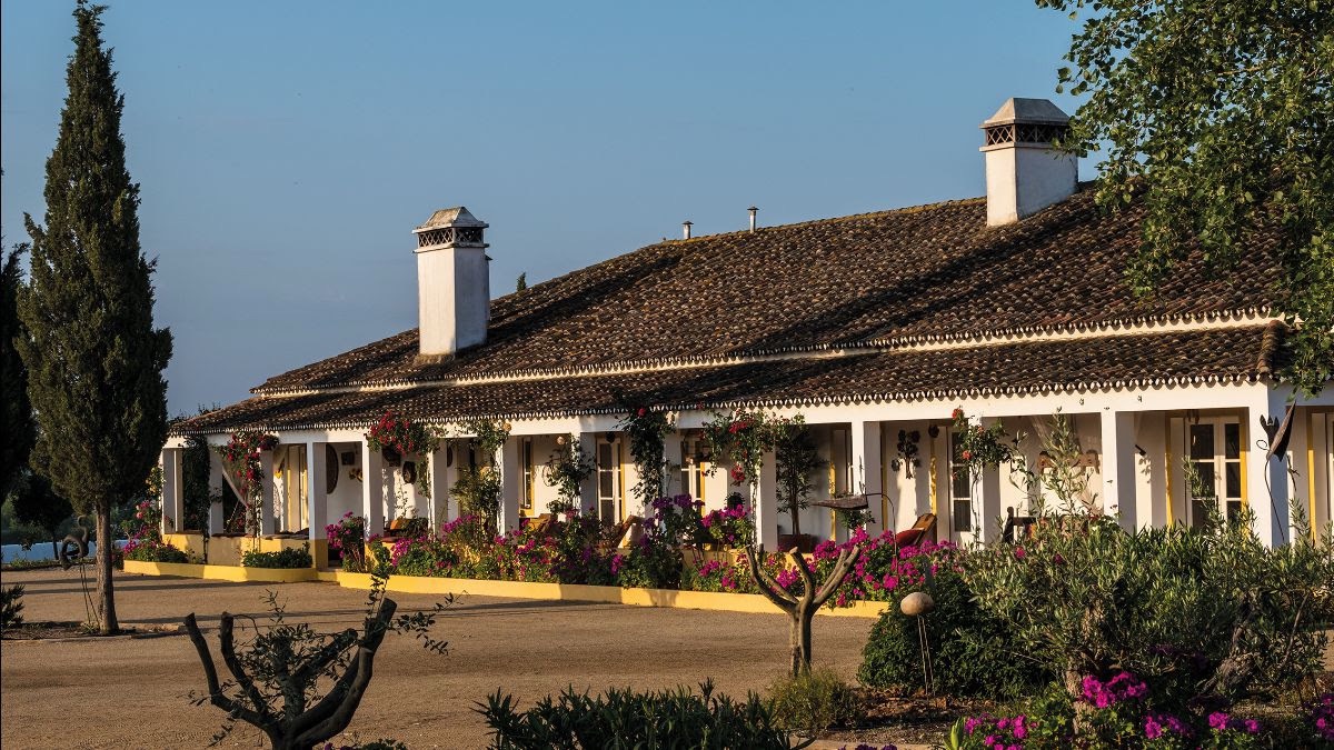 Alentejo, wijn, Portugal