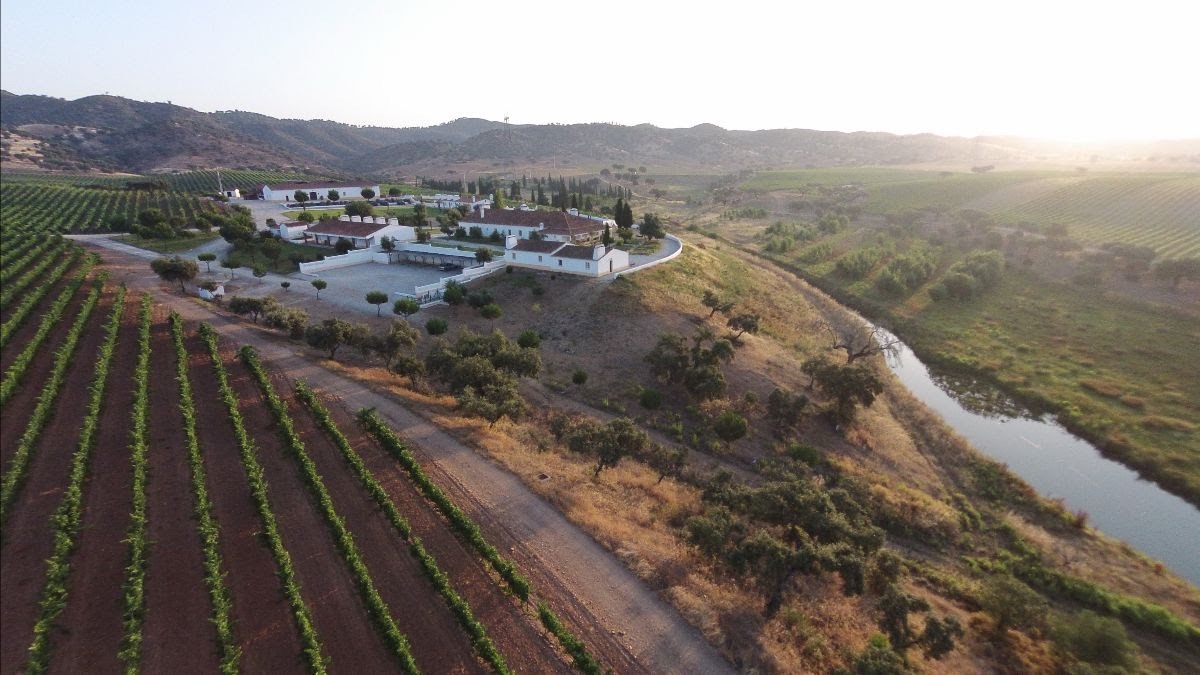 Alentejo, wijn, Portugal