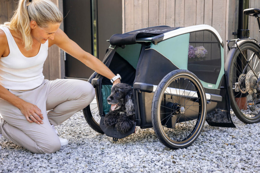 Thule Bexey, fietskar, hondenkar, honden fietskar, de beste fietskar voor honden