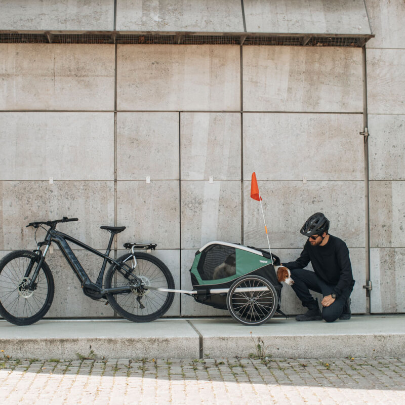 De ultieme hondenfietskar voor outdoor liefhebbers Thule Bexey door ons getest