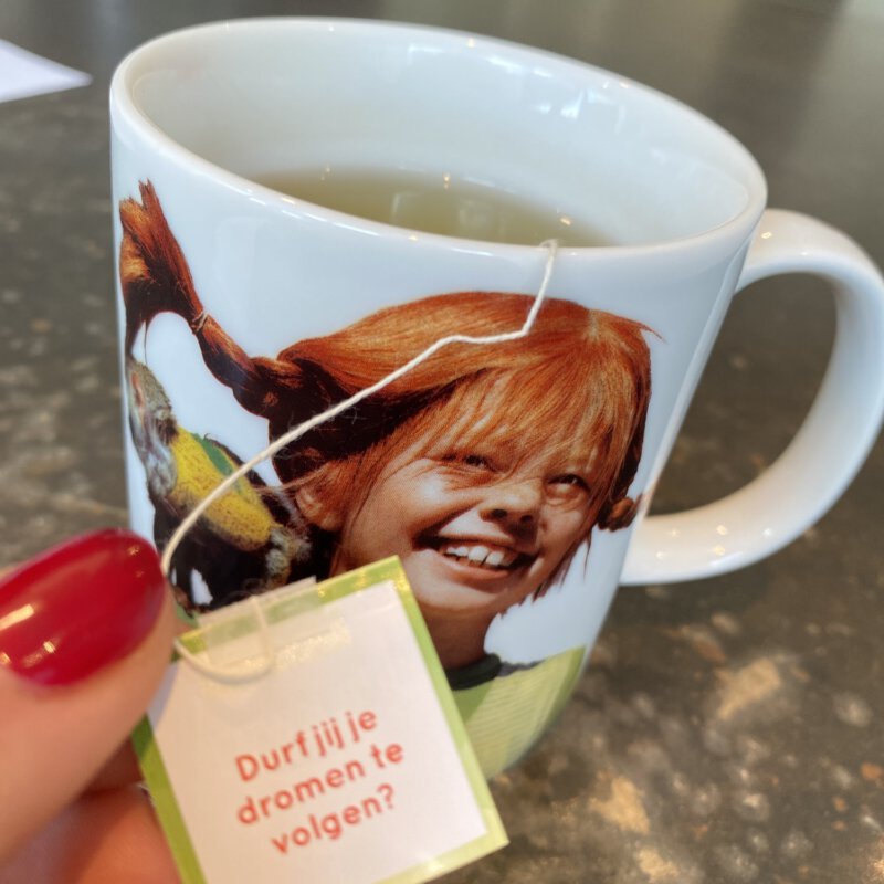 De reden dat mijn plastic waterkoker weer de deur uitging en design wijkt voor gezondheid