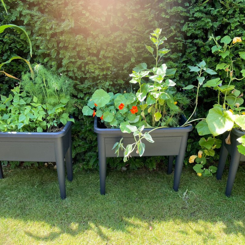 Tuinieren met kids: leer ze hoe groen groeit én leeft