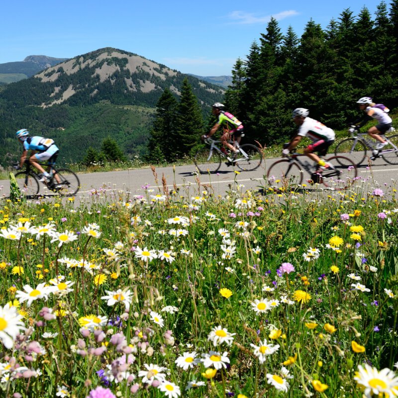 Top vijf fiets- en gravelevents in de Ardèche die je niet wil missen 