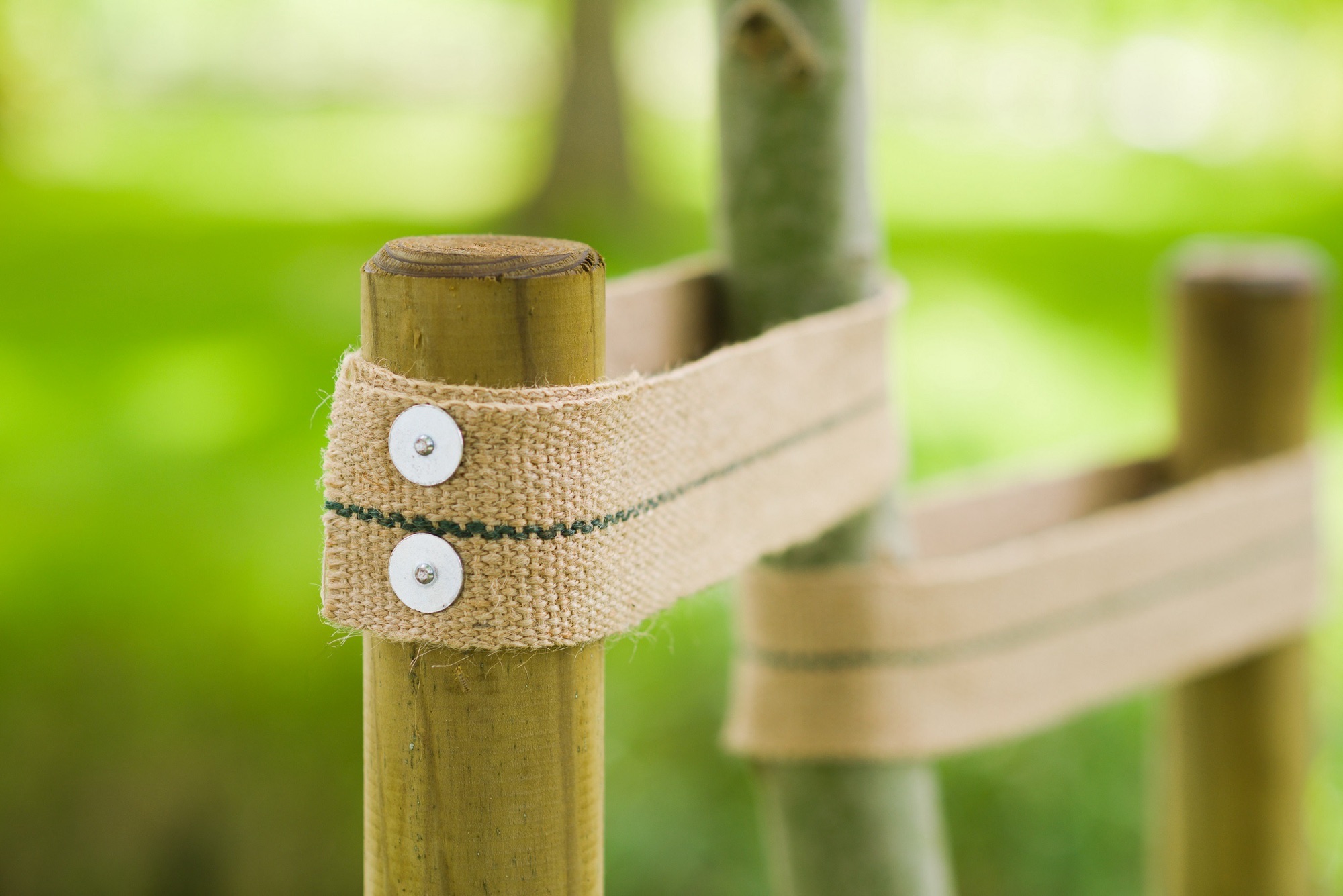 5 tuin tools, tuinieren, tuin 