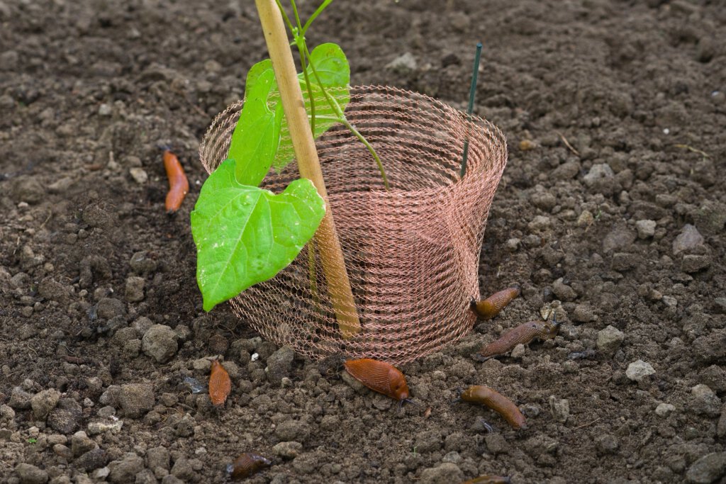 5 tuin tools, tuinieren, tuin 