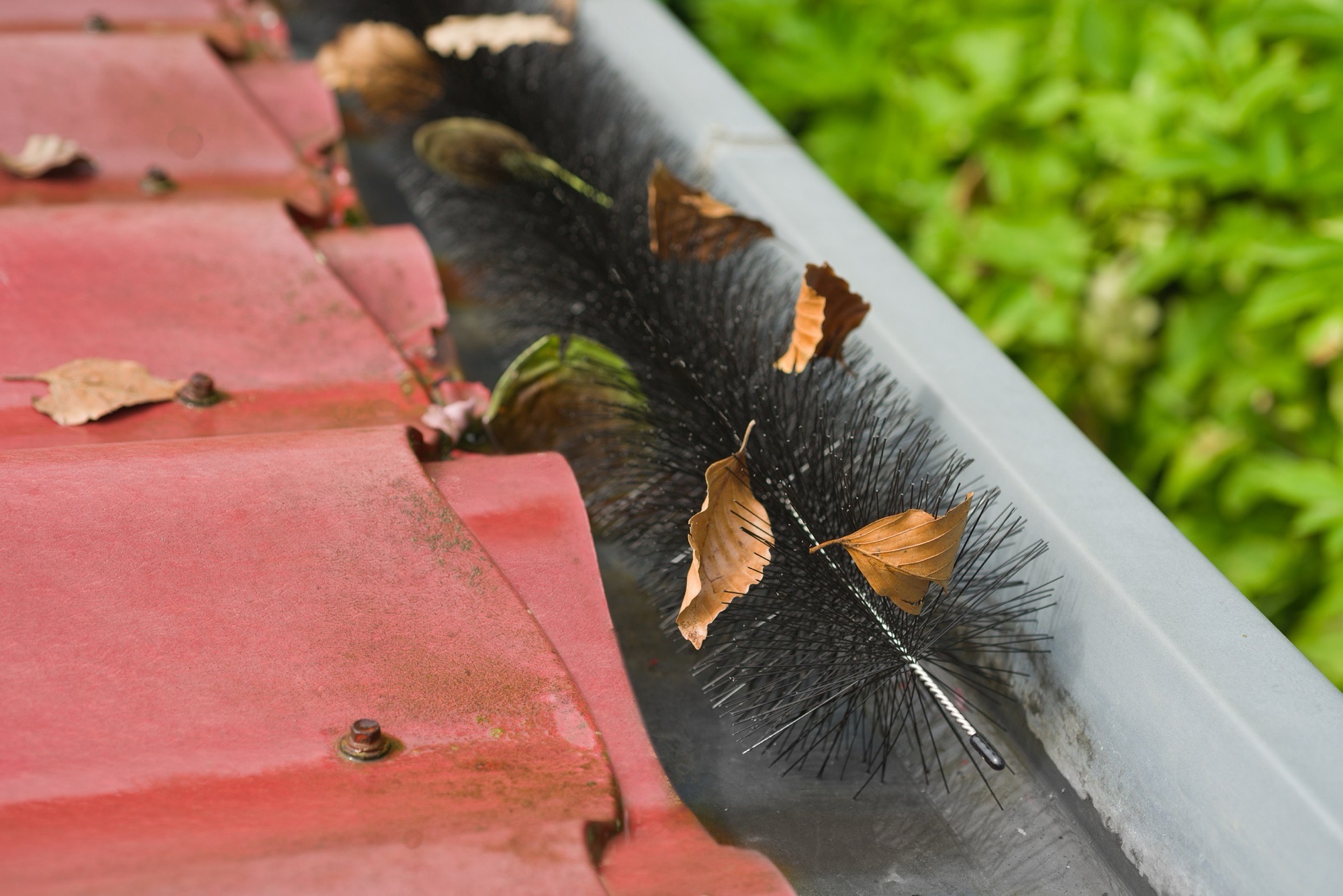 5 tuin tools, tuinieren, tuin 