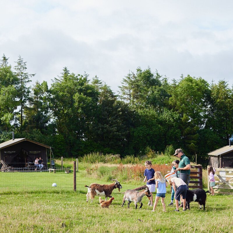 Offline opladen op de boerderij: even weg uit de stroom van prikkels