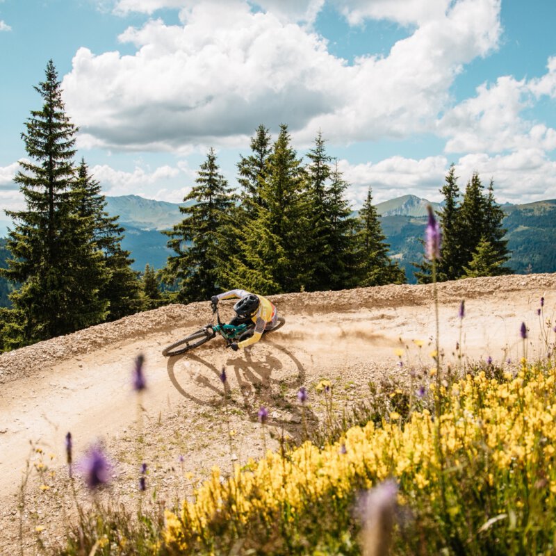 Zomervakantie in de Franse Alpen? Zo haal je meer uit Les Gets en Châtel met de Multi Pass