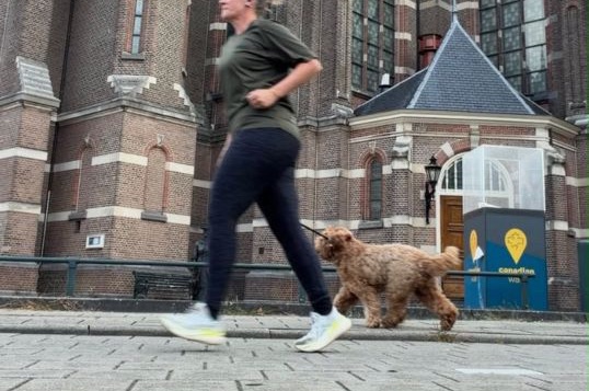 Hoka, Review HOKA Clifton 11, de beste hardloopschoen , hardloopschoenen