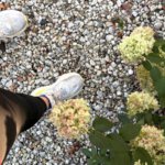 Review HOKA Clifton 11. Waarom ik deze hardloopschoen steeds weer aantrek