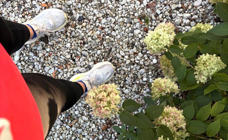 Hoka, Review HOKA Clifton 11, de beste hardloopschoen , hardloopschoenen