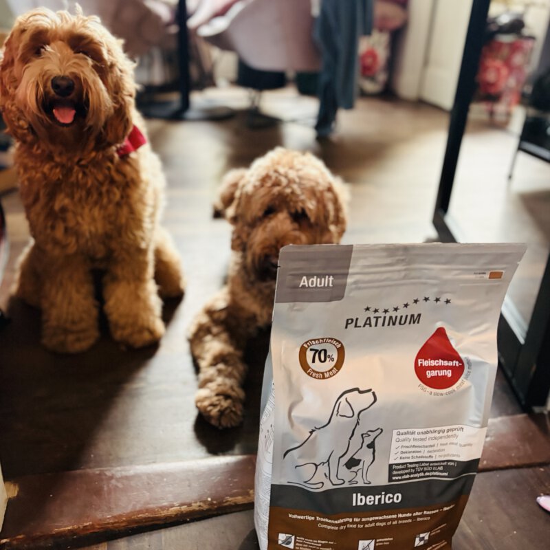 PLATINUM hondenvoer getest door onze kieskeurige logeerhonden