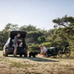 hondenriem, honden harnas, de beste honden riem, martin gaus, thule, hondencollectie